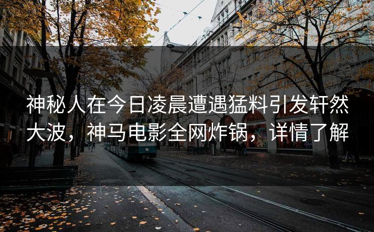 神秘人在今日凌晨遭遇猛料引发轩然大波，神马电影全网炸锅，详情了解