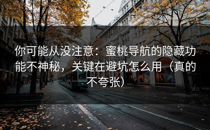 你可能从没注意：蜜桃导航的隐藏功能不神秘，关键在避坑怎么用（真的不夸张）