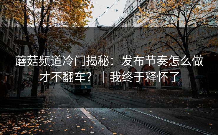 蘑菇频道冷门揭秘：发布节奏怎么做才不翻车？｜我终于释怀了